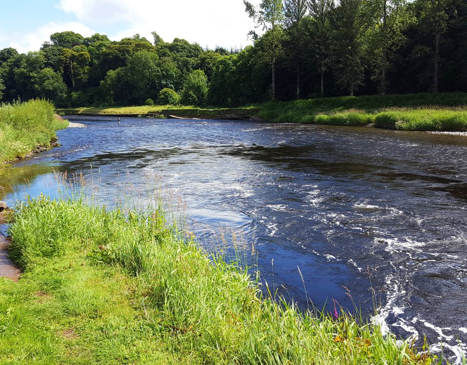 careysville fishery